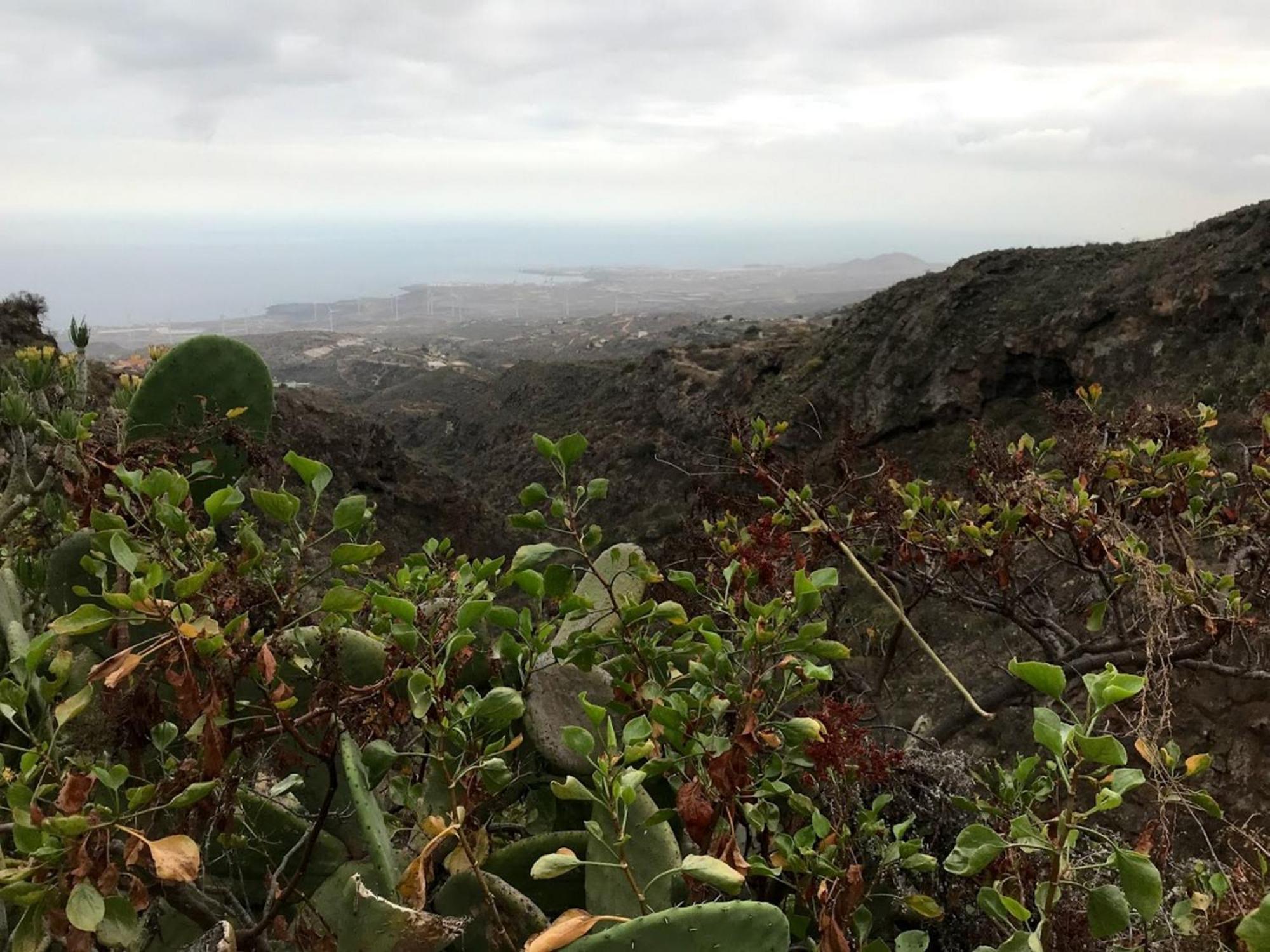 Finca Las Polinarias Casa Cueva En Fasnia Santa Cruz de Tenerife Exteriör bild