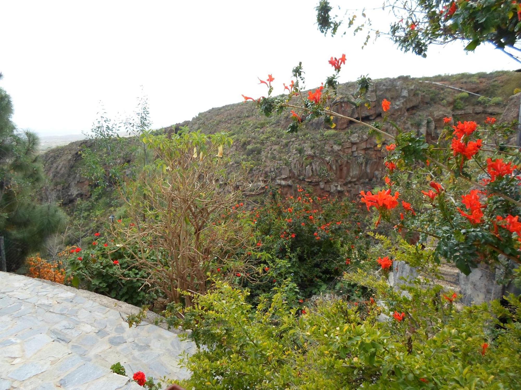 Finca Las Polinarias Casa Cueva En Fasnia Santa Cruz de Tenerife Exteriör bild